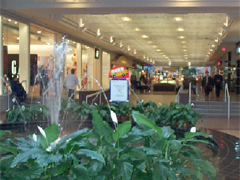 Sferum Lifestyle Management