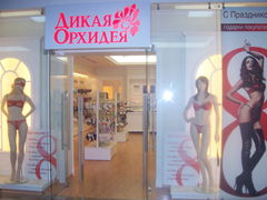Дикая Орхидея