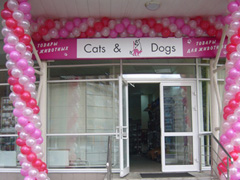 Cats & Dogs