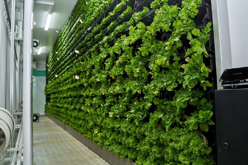 Вертикальная теплица Магнита - PR