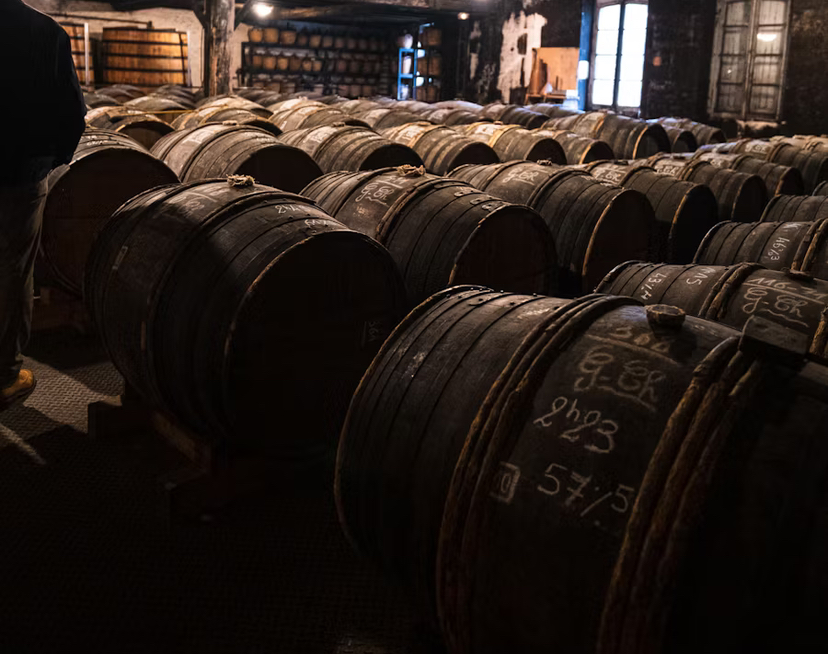 IMG_1678.jpeg IMG_1678.jpeg