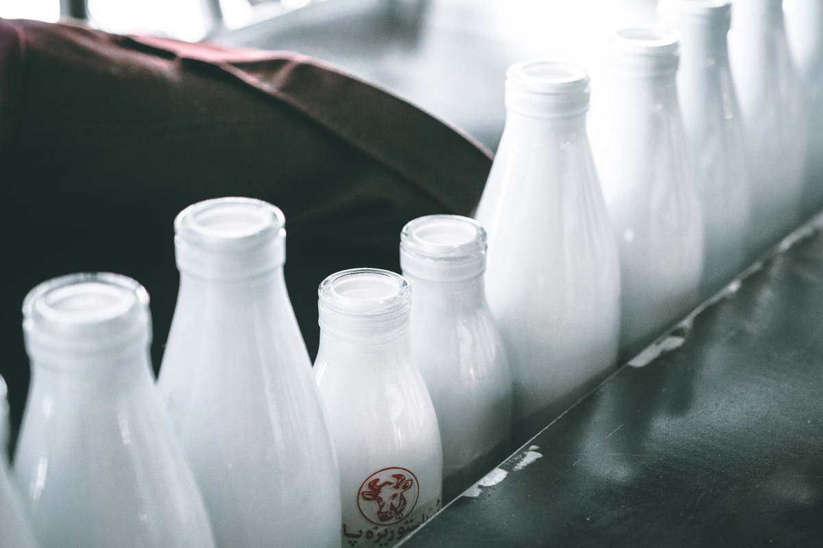 Производство молока - unsplash