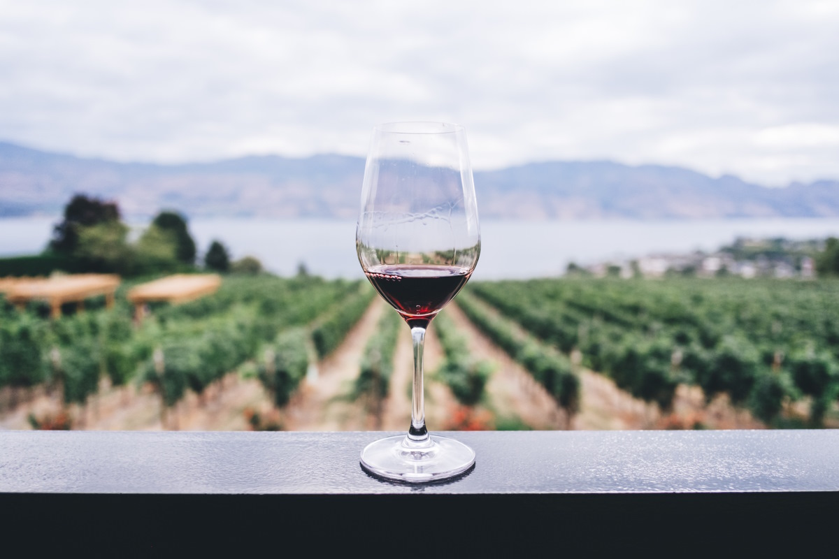 Вино на винодельне - unsplash