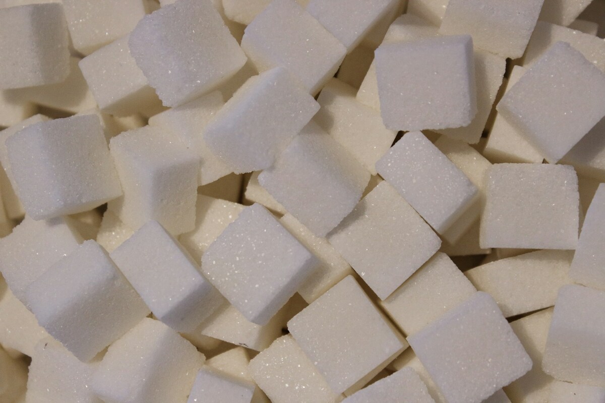 Sugar.1