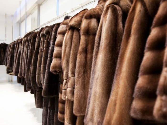 Меховой салон.jpg