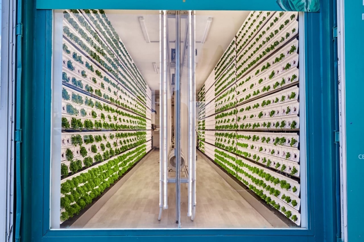 Вертикальная теплица Магнита - PR