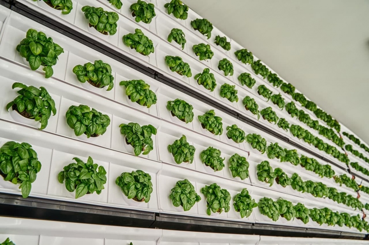 Вертикальная теплица Магнита - PR