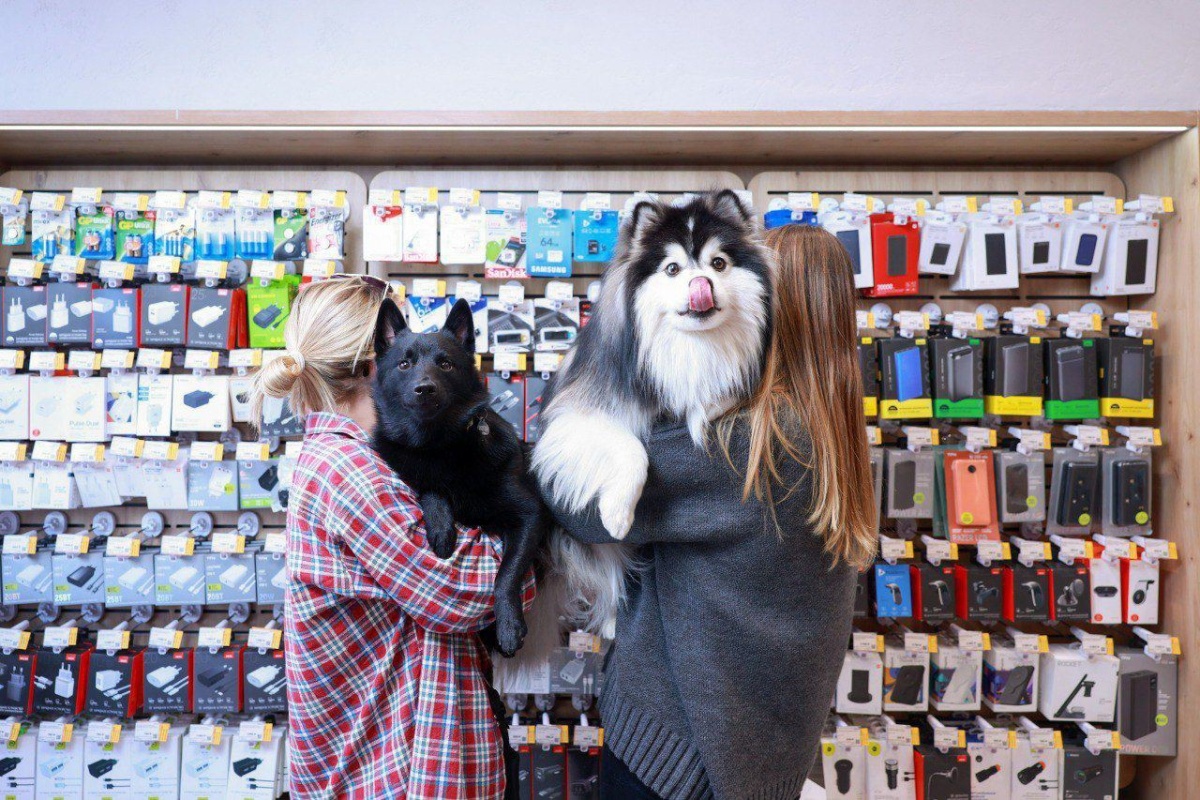 photo_2024-04-15_11-20-44 (2).jpg