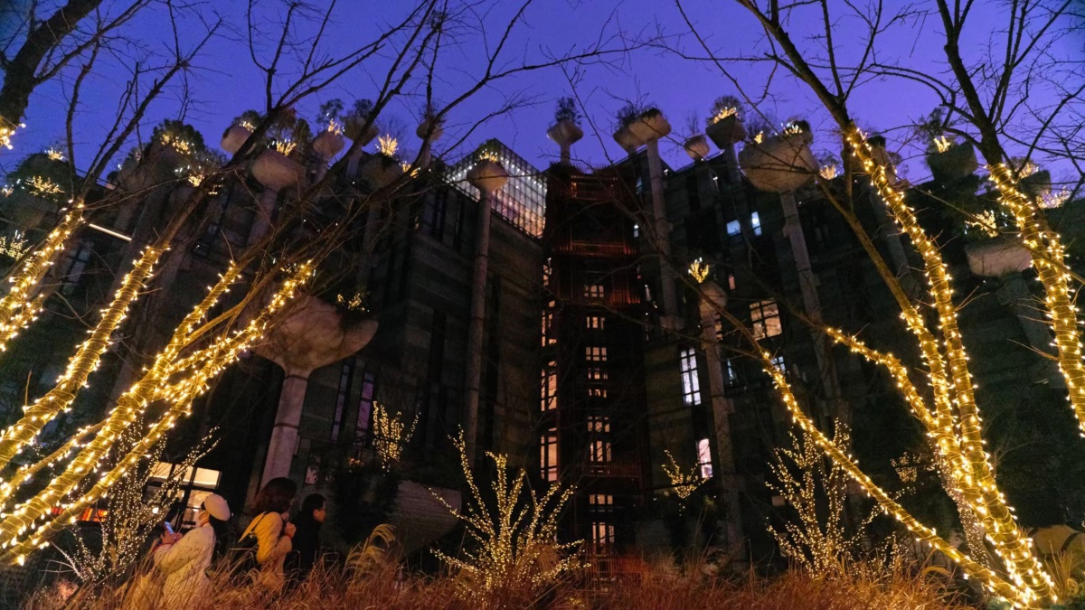 1000 Trees - Tian An