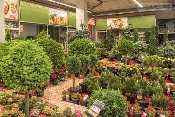 ОБИ укрепляется в Подмосковье