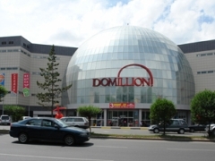 Domillion