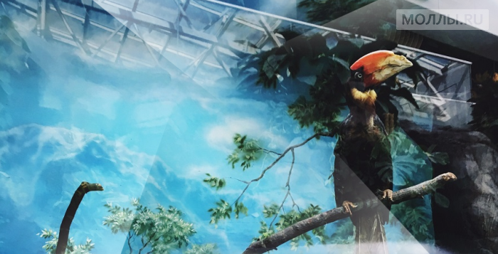 «Крокус Сити Океанариум» открывается в Москве