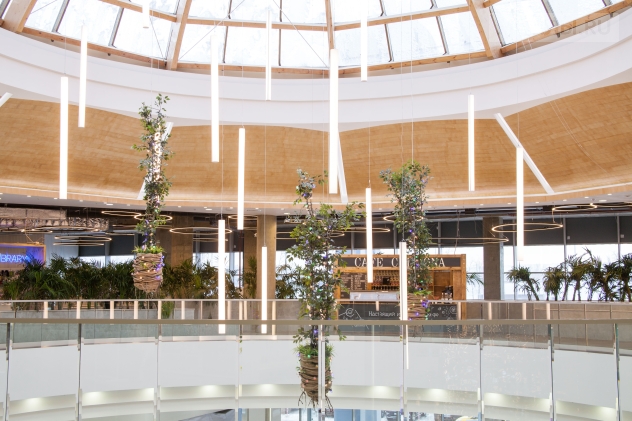 Рио Румянцево