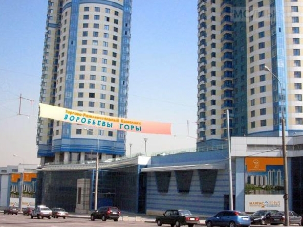 Воробьевы горы