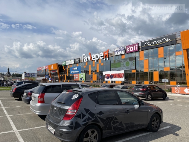 Галерея Кострома