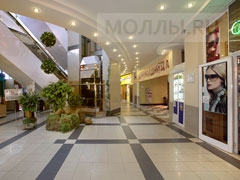 Университи