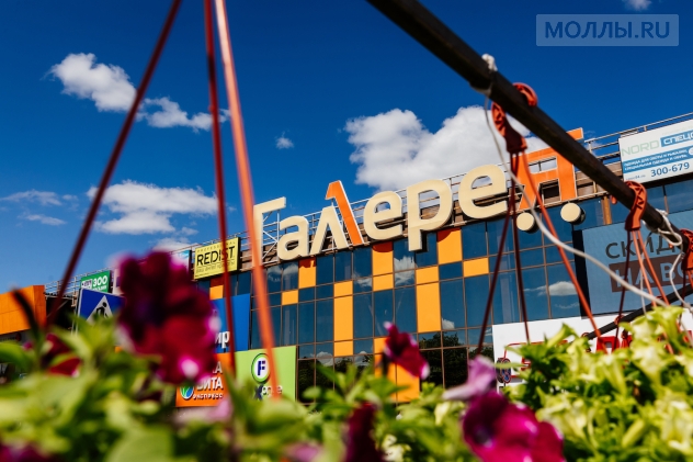 Галерея Кострома