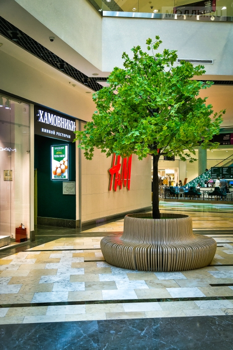 Аура Новосибирск