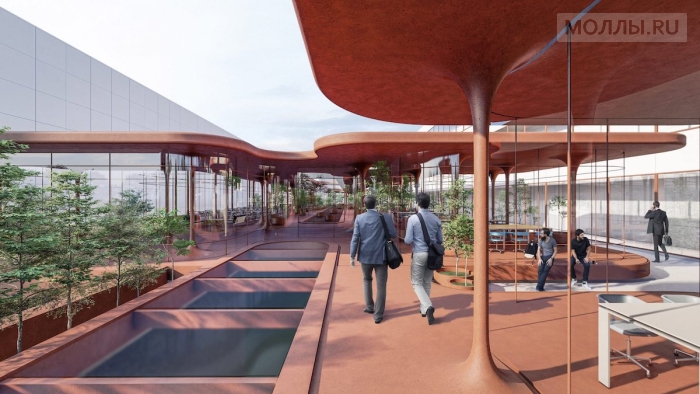 Учёные продумали, как безопасно работать и учиться в пандемию