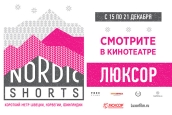 Кинофестиваль Nordic Shorts в Гудзоне
